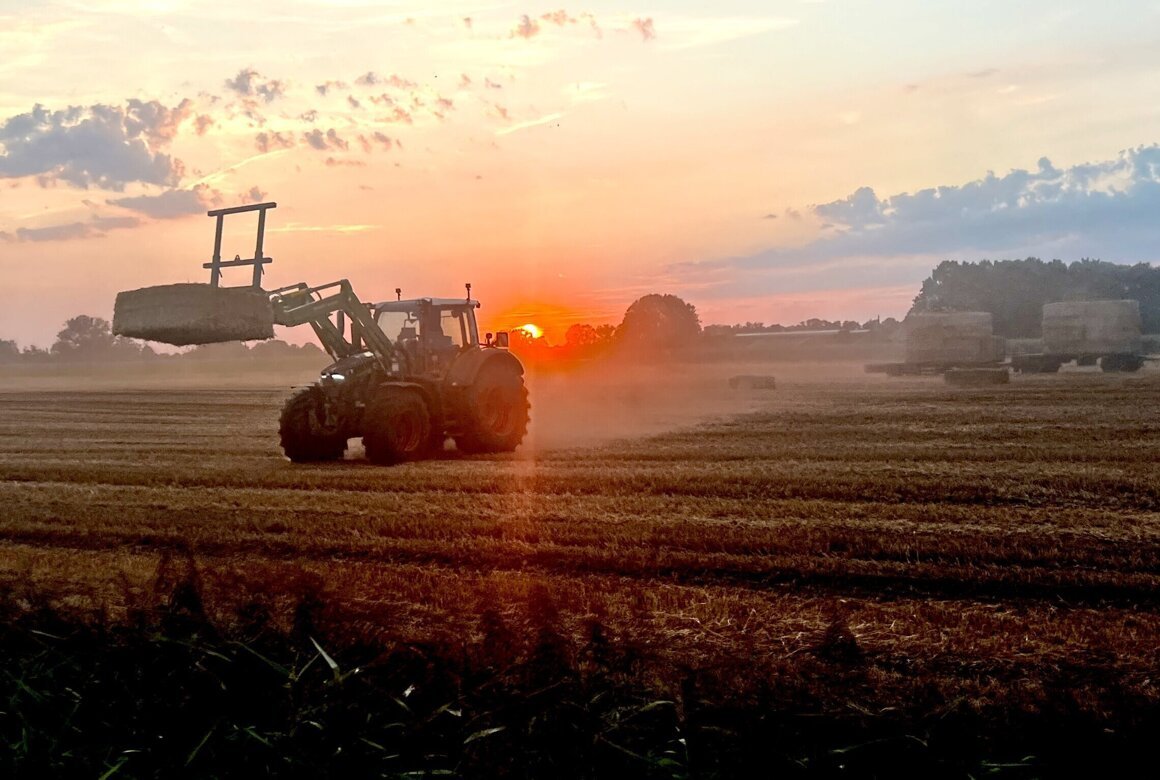 De rogge is gemaaid. Nabij het Boetelerveld wordt het maaisel in balen  geperst en als strobalen afgevoerd.