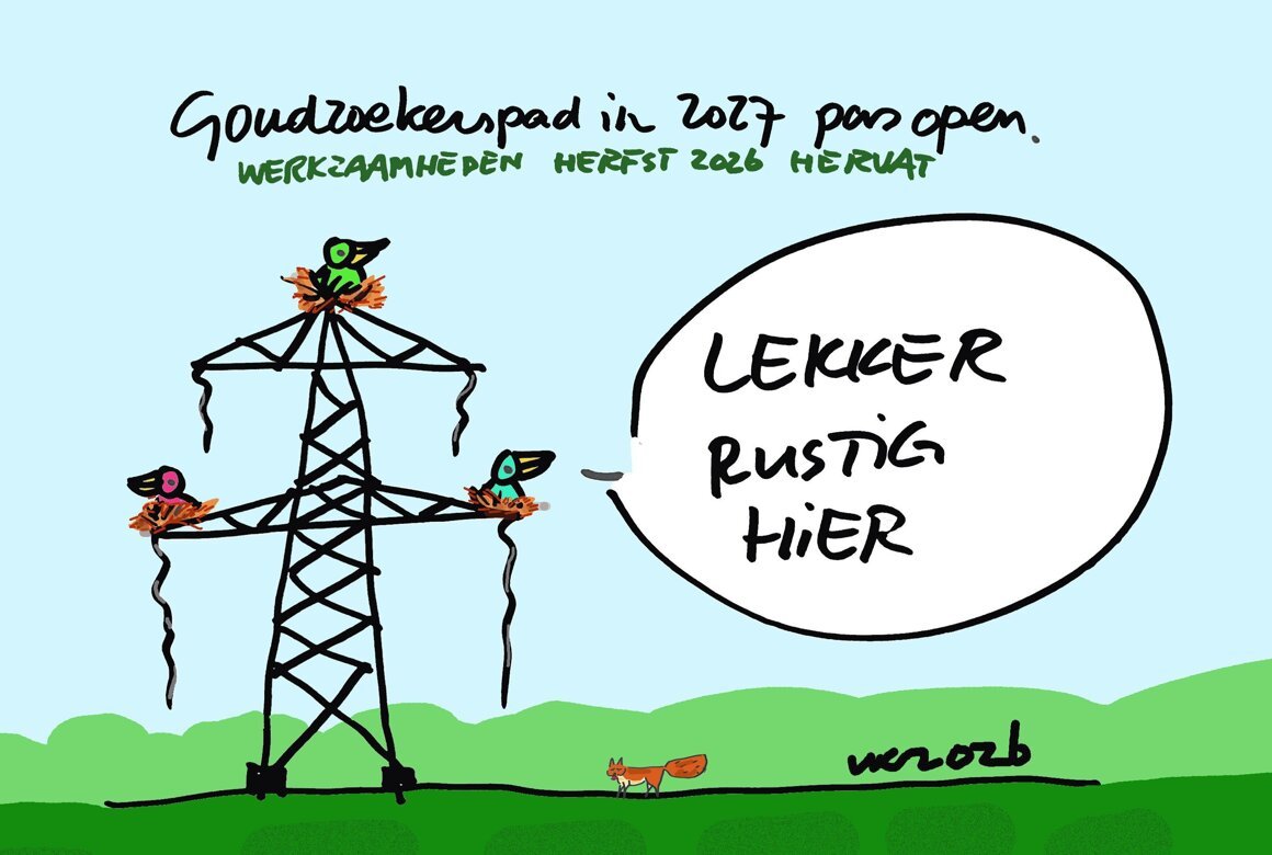 Goudzoekerspad dicht .jpg