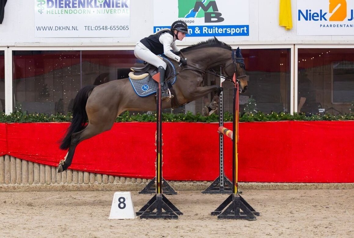 Berber Nijland - Ophelia.jpeg