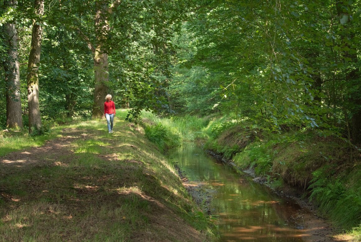 Het Oosterveld - Foto Stichting Landschap Overijssel - Vladimir Dobrasinovic.jpg