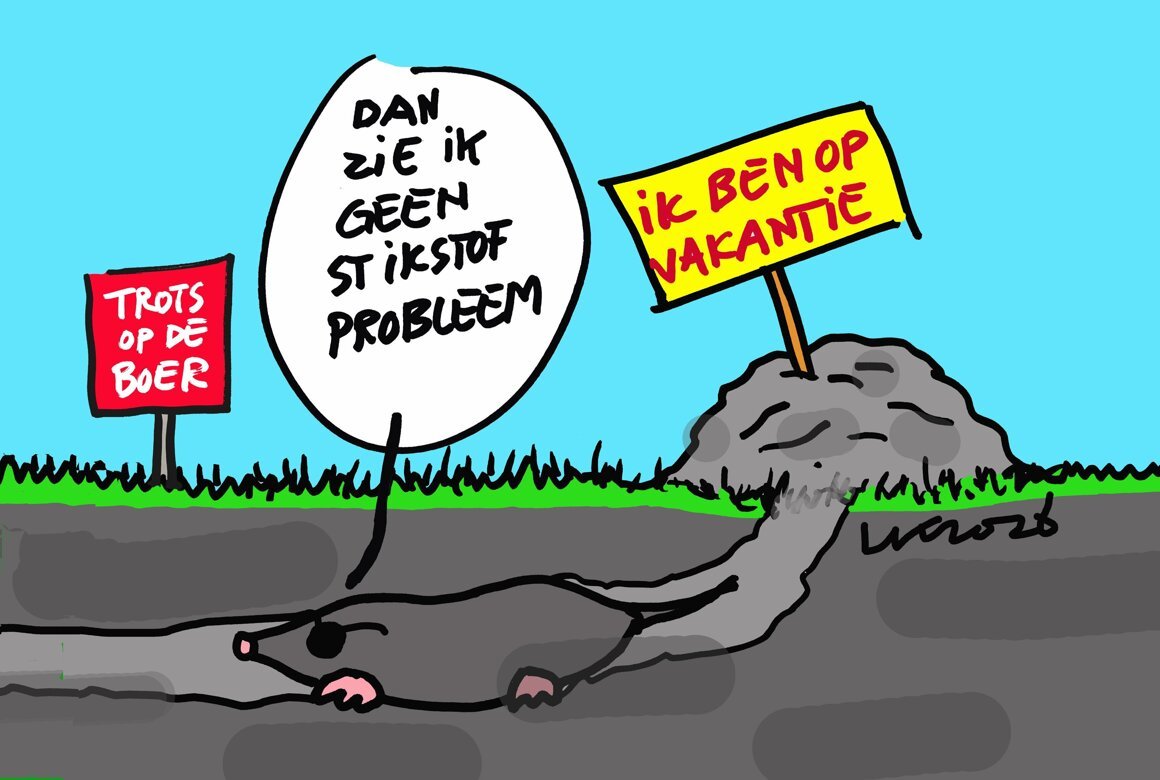 Waar is de mol 2 