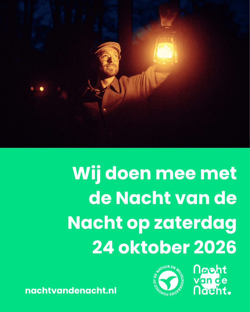 nacht-van-de-nacht-flyer